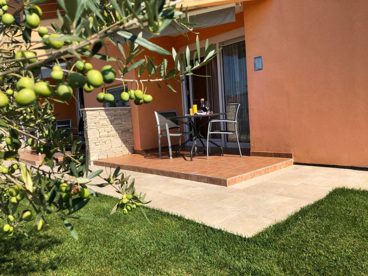 Dalmatina Apartment Zaton (Zadar)
